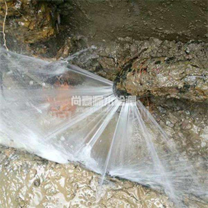 东西湖消防管道漏水检测